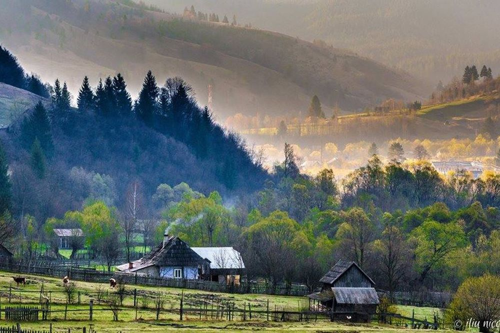 Буковина Румыния. Румыния Карпаты Буковина. Северная Буковина природа.