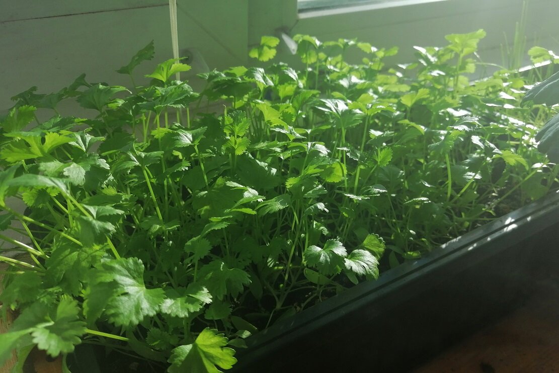 Личное фото.