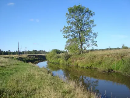 р.Ува,Удмуртская респ.Фото