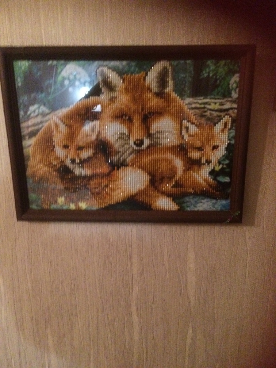 Лисья семья.