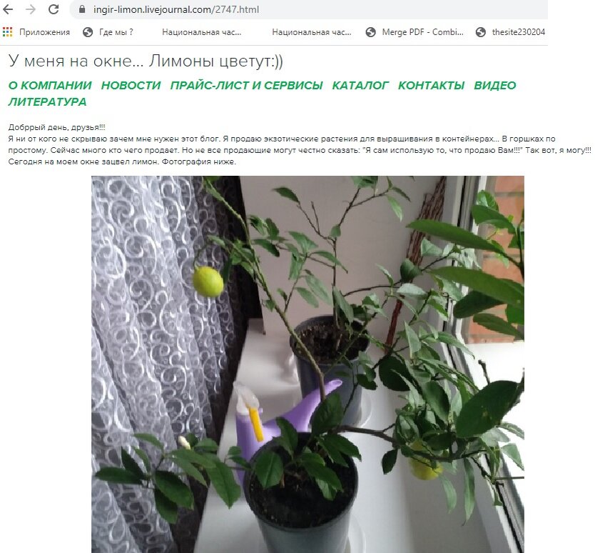 Второй пример сайта встроенного в блог. Первый пример - блог, читаемый Вами сейчас. Или наоборот