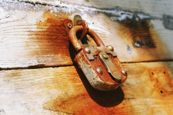 (Image: Pexels / CC0 1.0)