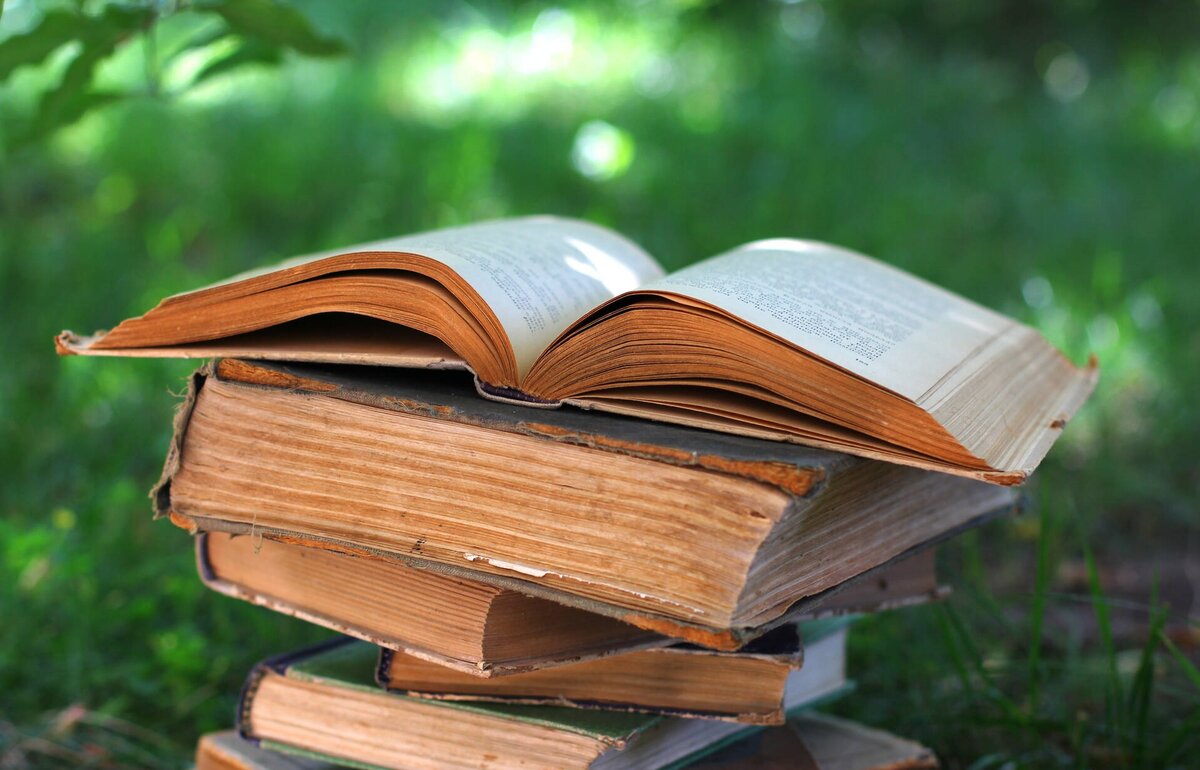 Книги художественные картинки
