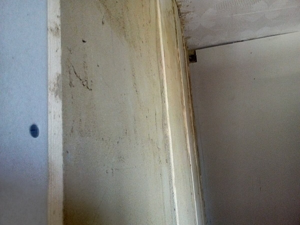 заштукатуренные стены