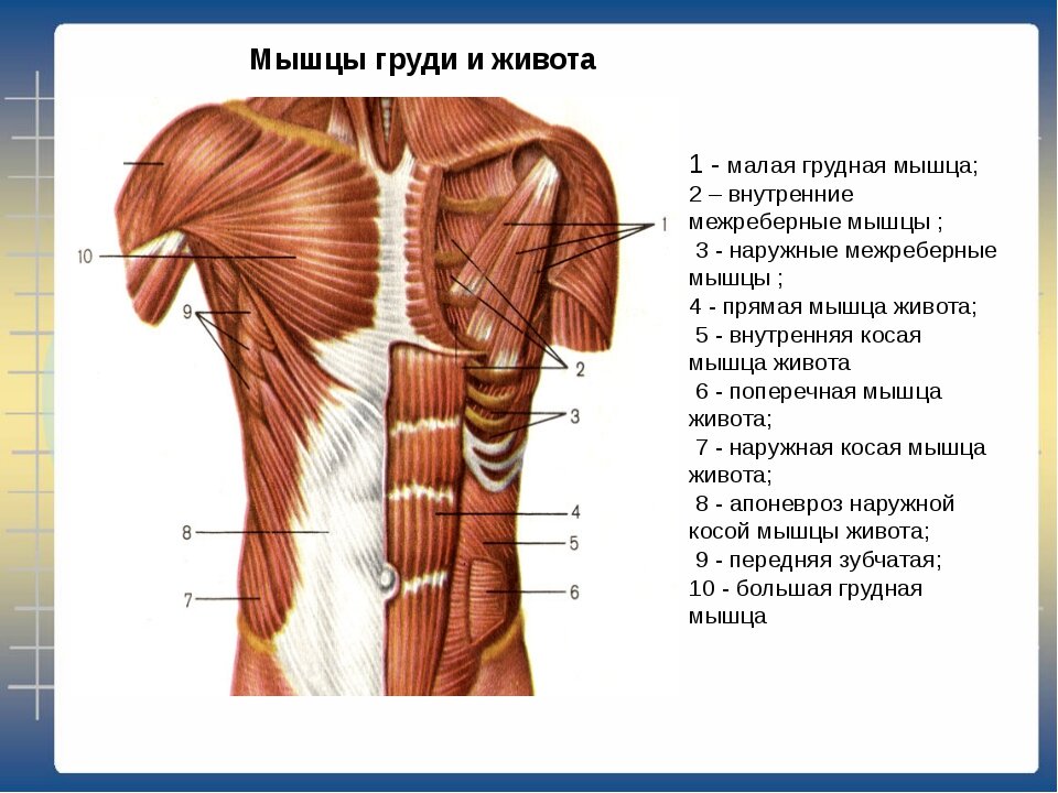 Как правильно стрелять резинкой: уроки и советы