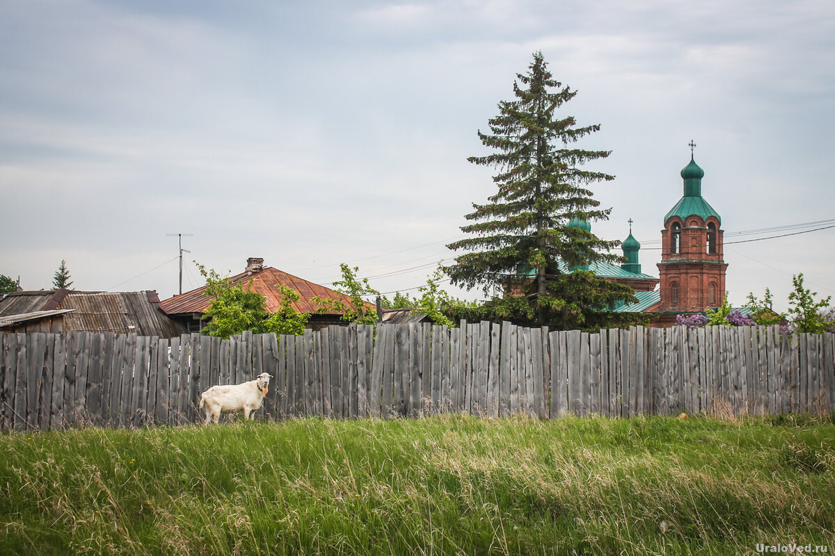 В селе Клеопино