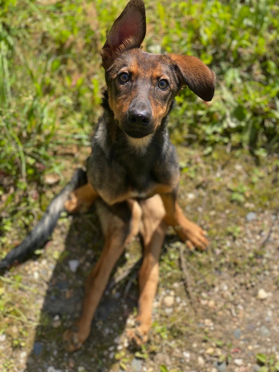 Мне очень тяжело быть инвалидом .. но я учусь не замечать этого ...