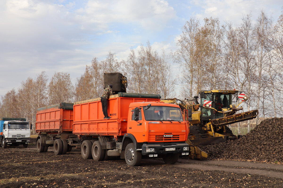 Свеклу надо увезти быстро | Газета 