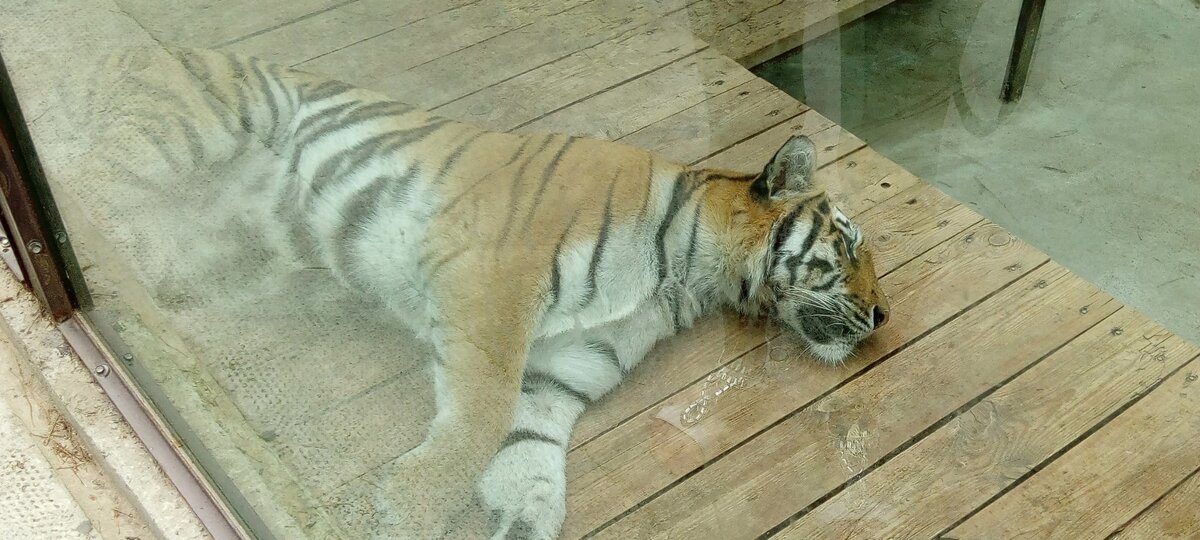 (Личное фото автора)