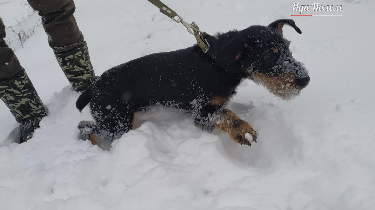 Любопытство превыше всего