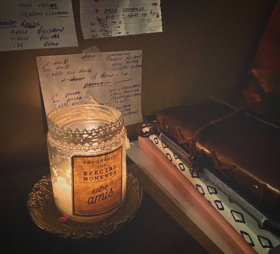 Уютная атмосфера способствует успешному ботанству