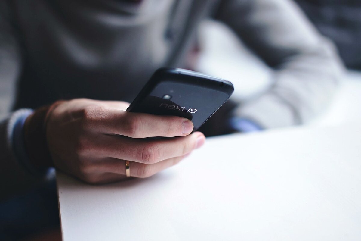 Фото: pixabay.com