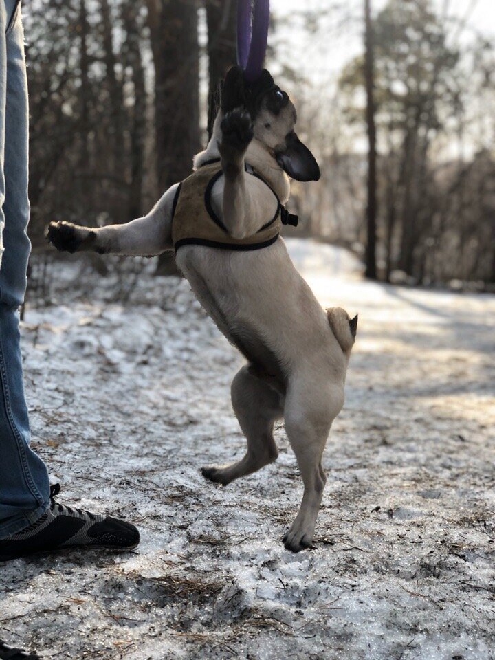 Играй, летай!