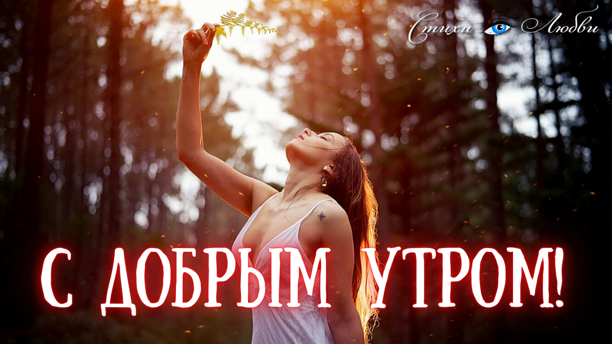 Доброе утро!