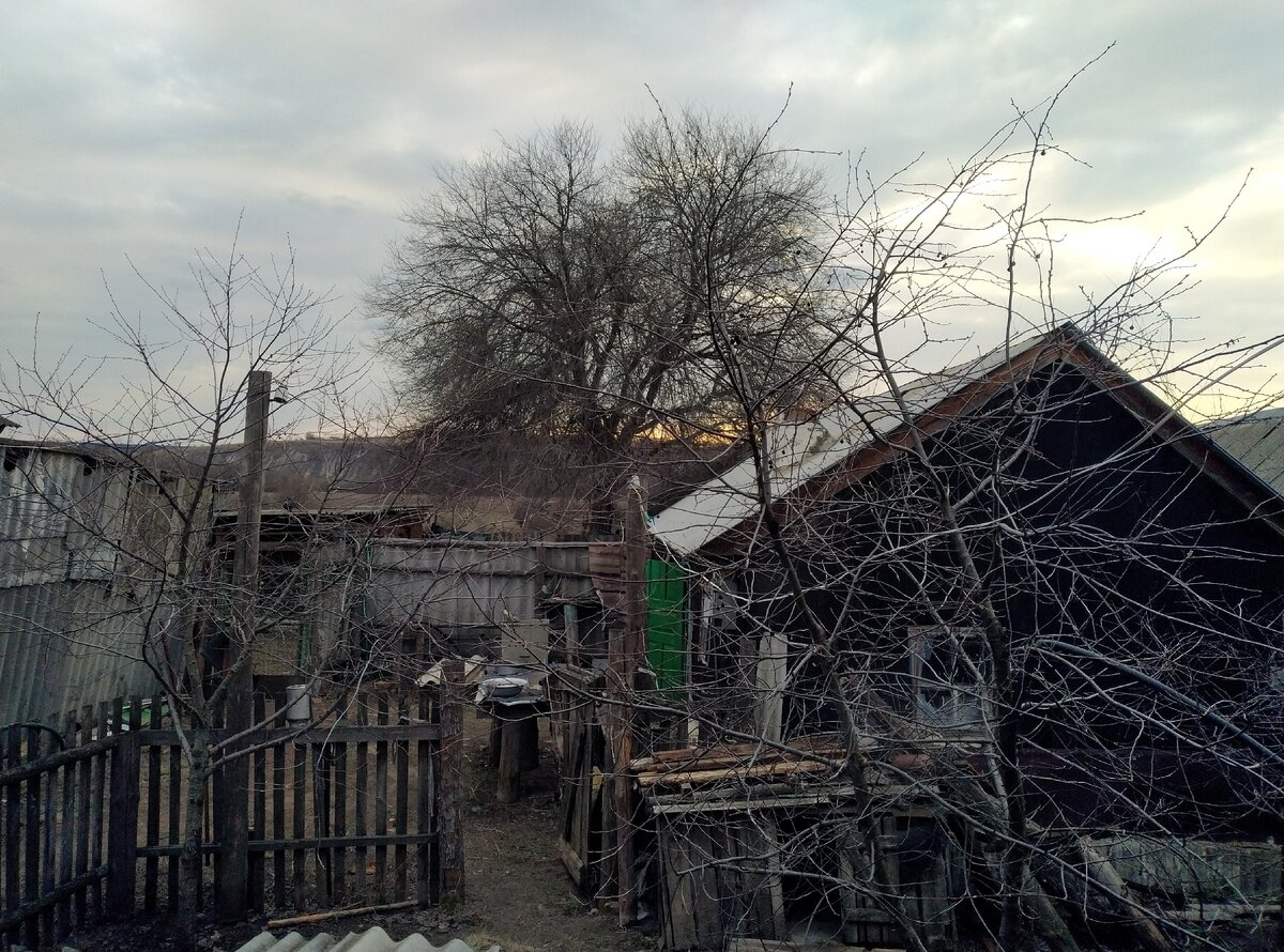 Весь закат перекрыло. И это оно еще без листьев