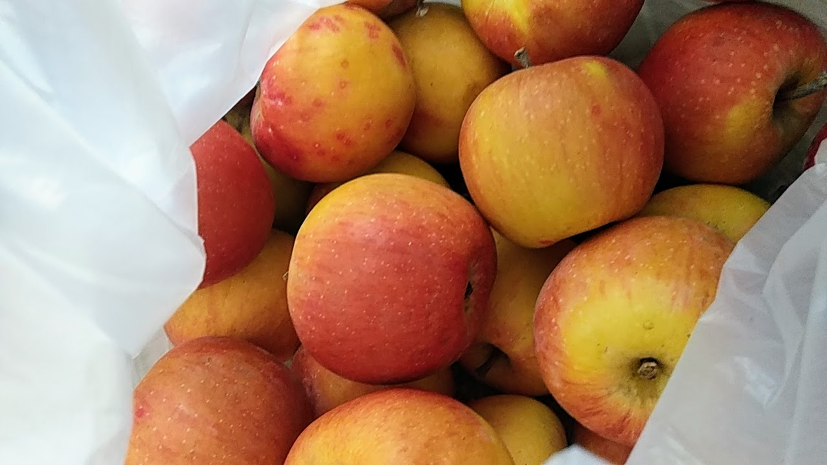 Фото автора. Одной из причин сезонного уныния ученые считают авитаминоз. В обычных яблоках содержится уникальный набор витаминов и микроэлементов, необходимых для нормальной жизнедеятельности человеческого организма.