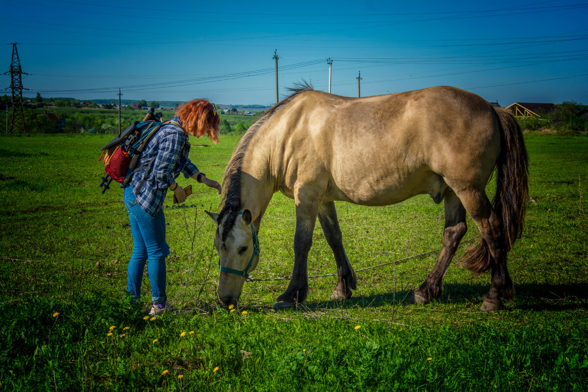 фотографии автора канала.