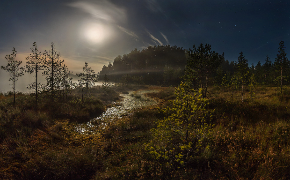 Яндекс картинки