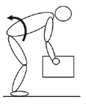 Схематическое изображение поднятия тяжести, типичное для медицинской статьи. В спортзале подобные упражнения выполняются только с незначительной нагрузкой. Попытку таким образом поднять вес, сравнимый с собственным, пресечет любой инструктор тренажерного зала.