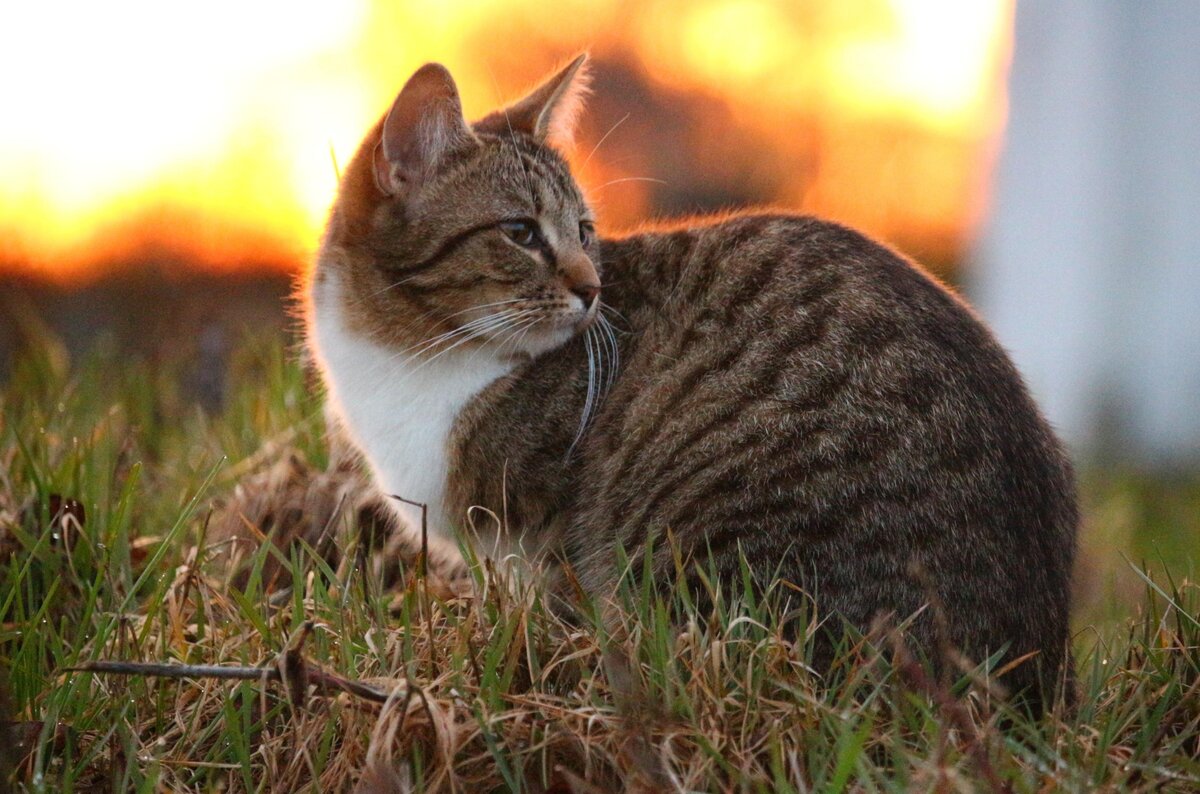 Фото из интернета