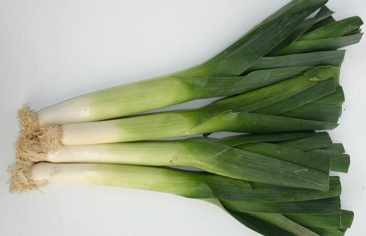 Изображение взято с сервиса Яндекс Картинки