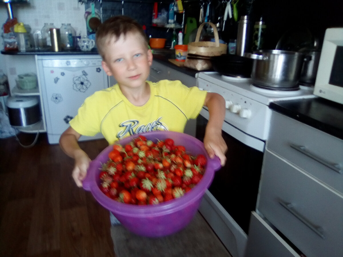 урожай клубники