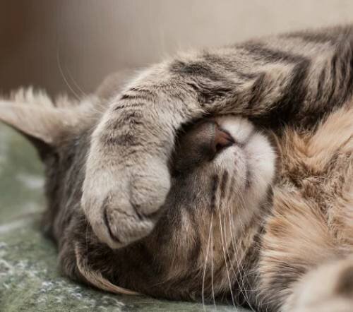 Стресс и эмоциональное состояние: