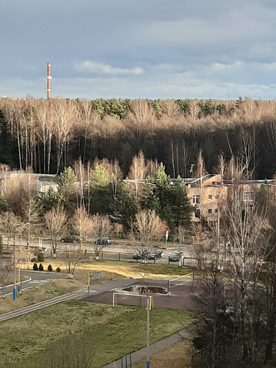 Ноябрь, ностальгия, боль. Вид из окна моего детства. 2021, Дубна