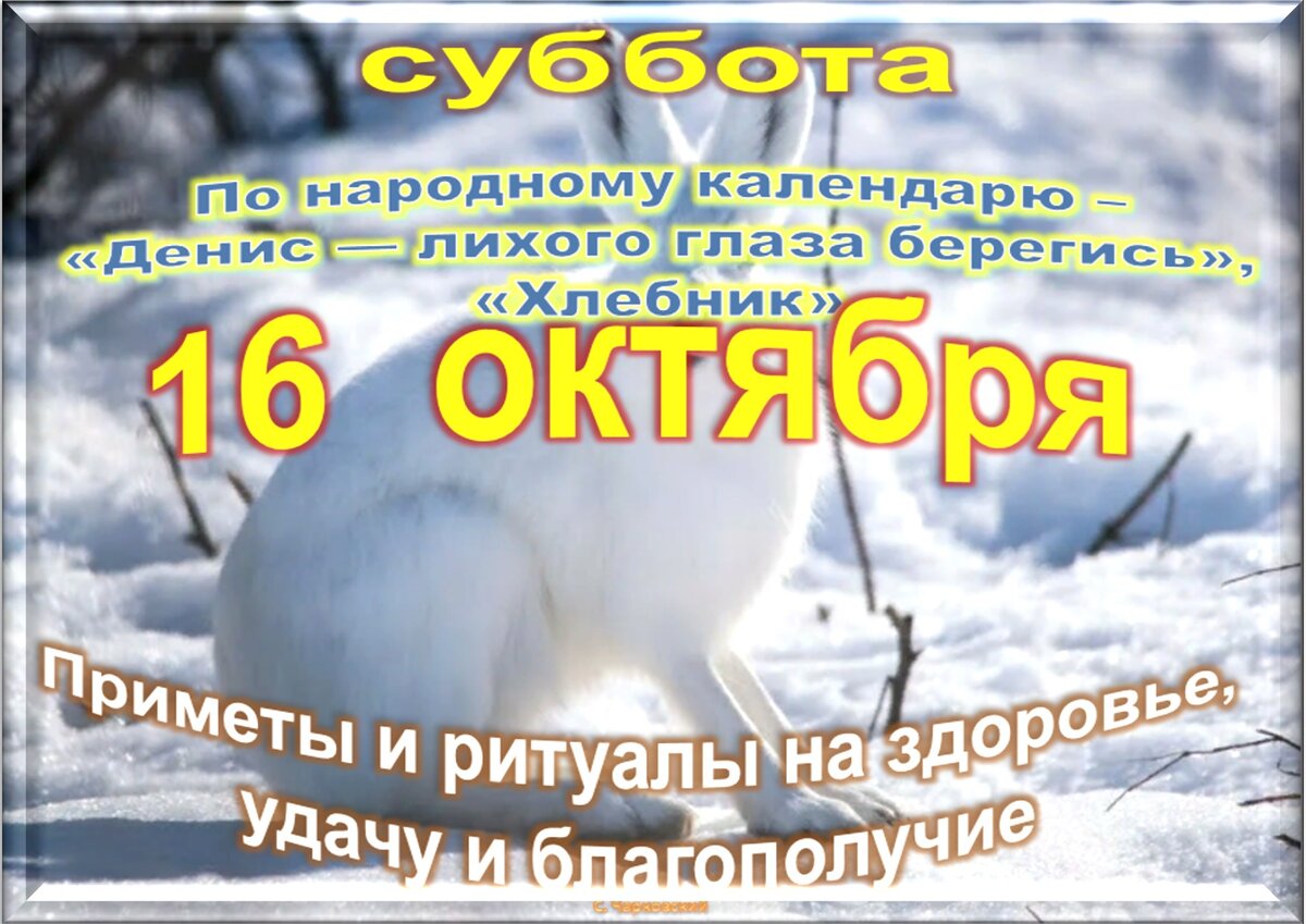 Встречаем новый день