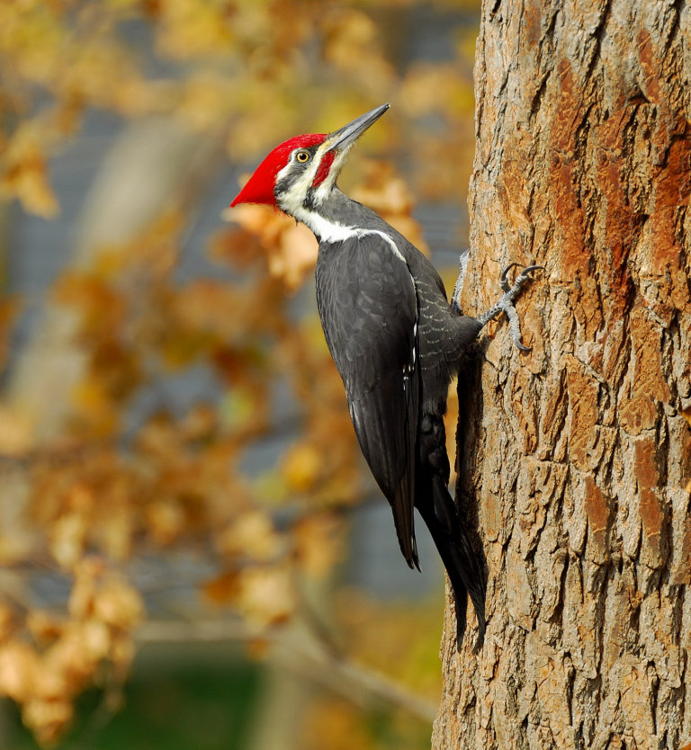 Фото взято для иллюстрации