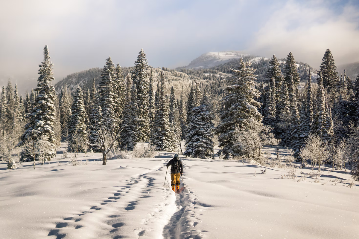 Chris Holder/unsplash.com
