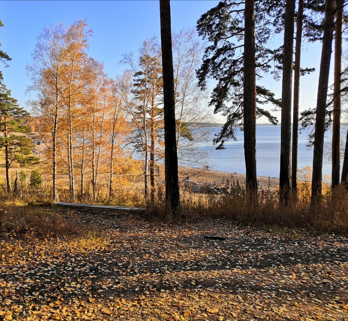 Осенний пейзаж. 