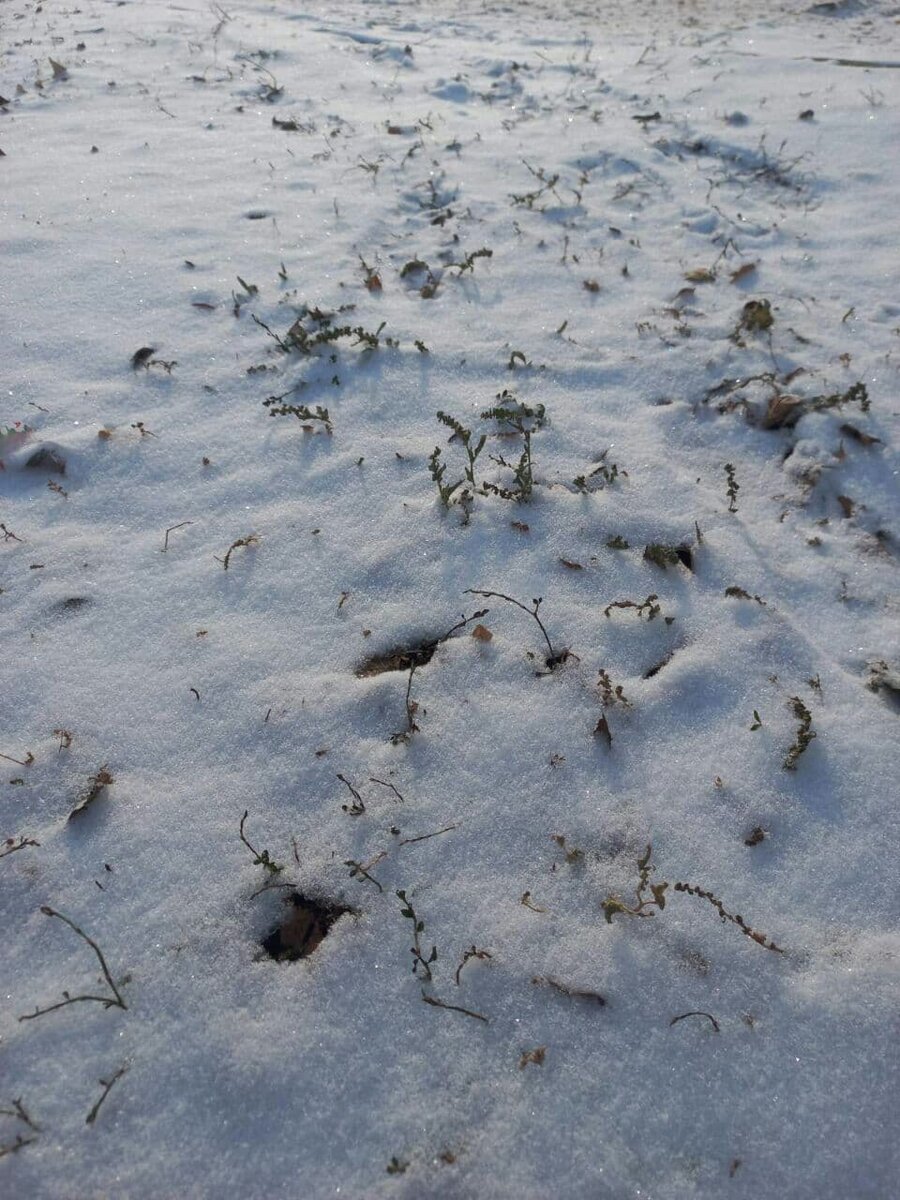 Фото автора.