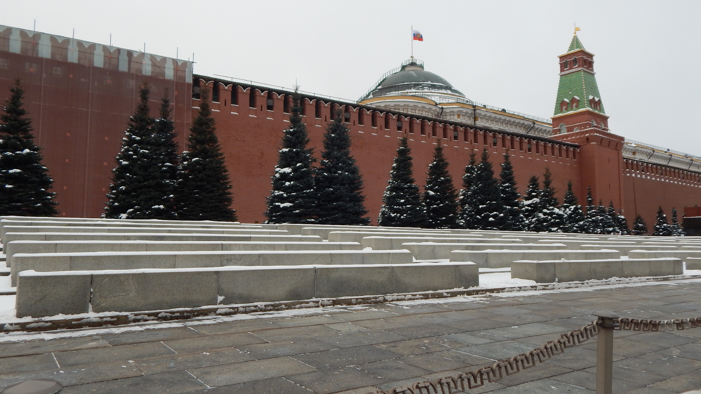 голубые ели у кремлевской стены в москве