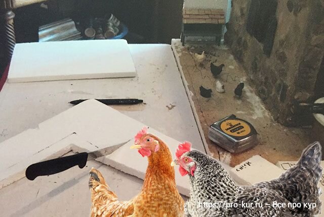 для чего клюют куры пенопласт. куры клюют пенополистиролом. вреден ли пенопласт курам. куры нажрались пенопласта. можно ли курам пенопласт.