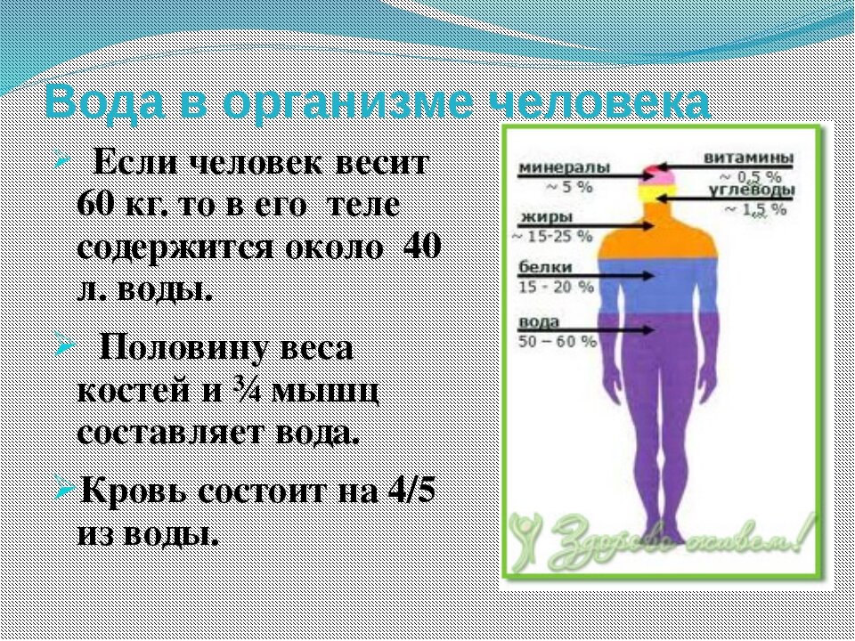 Сколько в организме человека. Вода в организме. Кол во воды в теле человека. Вода в человеческом теле. Количество воды в человеке.