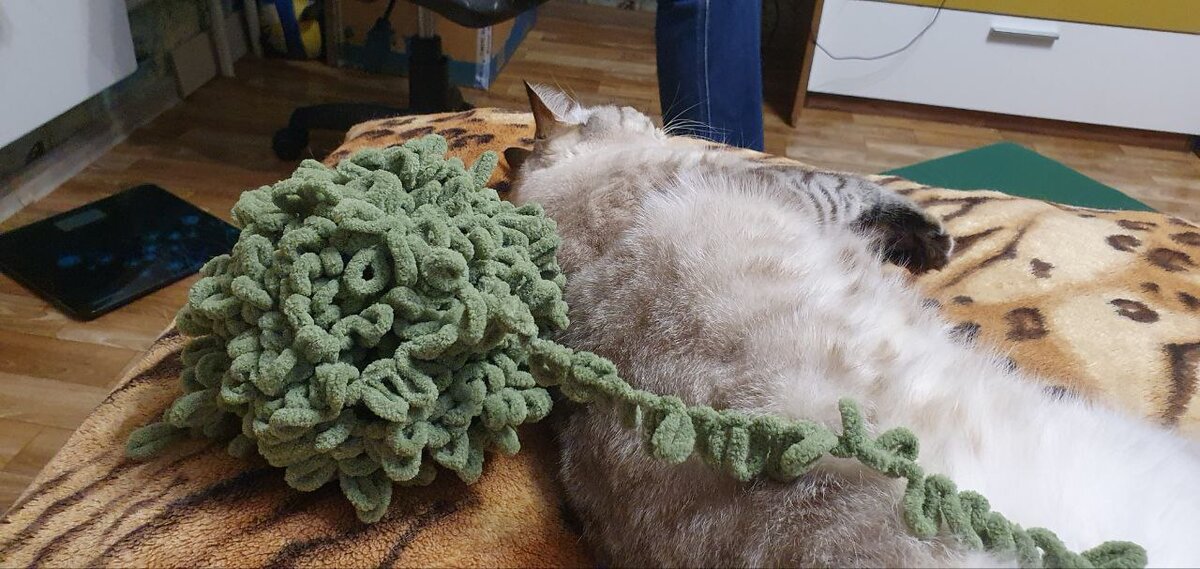 Мотя прислоняется к искусству вязания