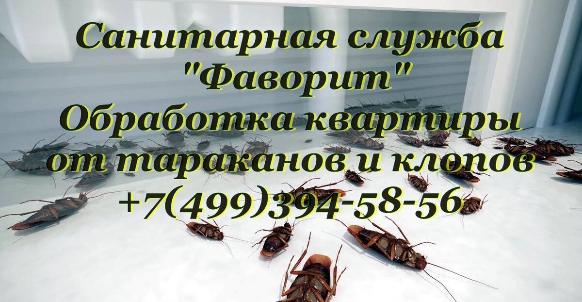Профессиональное уничтожение тараканов и клопов