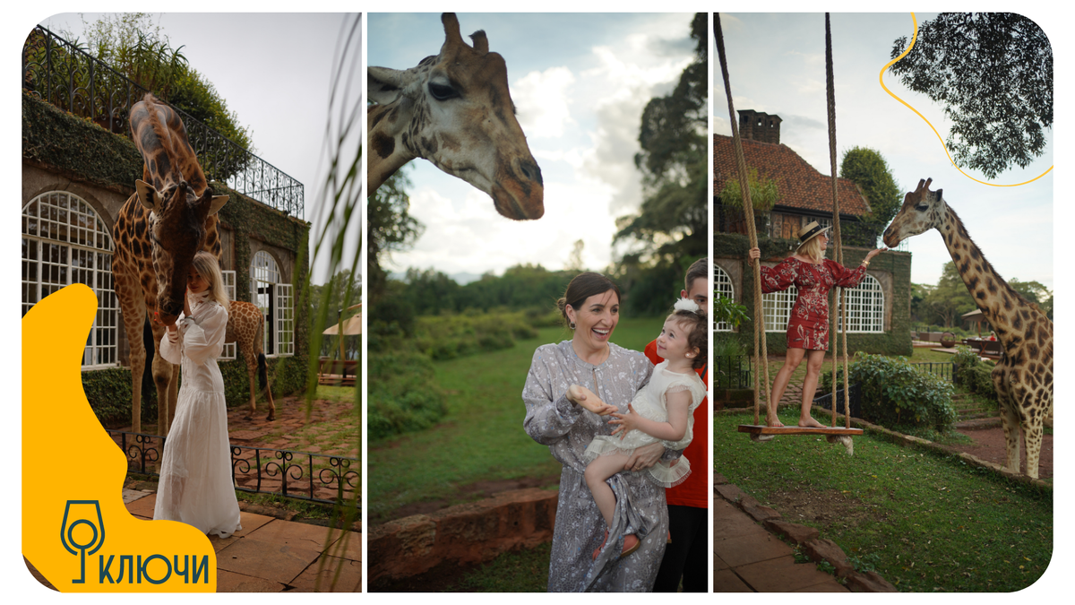 Уникальный отель Giraffe Manor, который можно забронировать через проект "Ключи", он не доступен на привычных сервисах.  Фотографии были сделаны в путешествии в Кению с Алиной Шпак от проекта "Ключи".