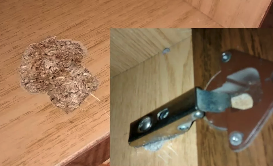 Обычные проблемы мебели из низкокачественного  ДСП