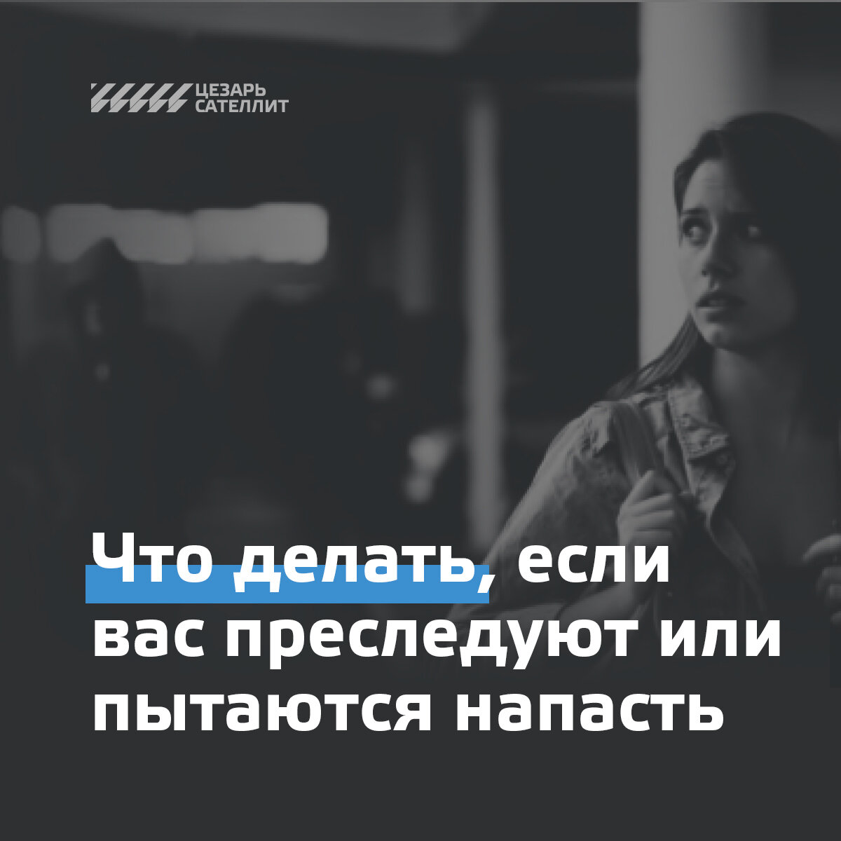 Что делать, если вас преследуют или пытаются напасть | Цезарь Сателлит |  Дзен