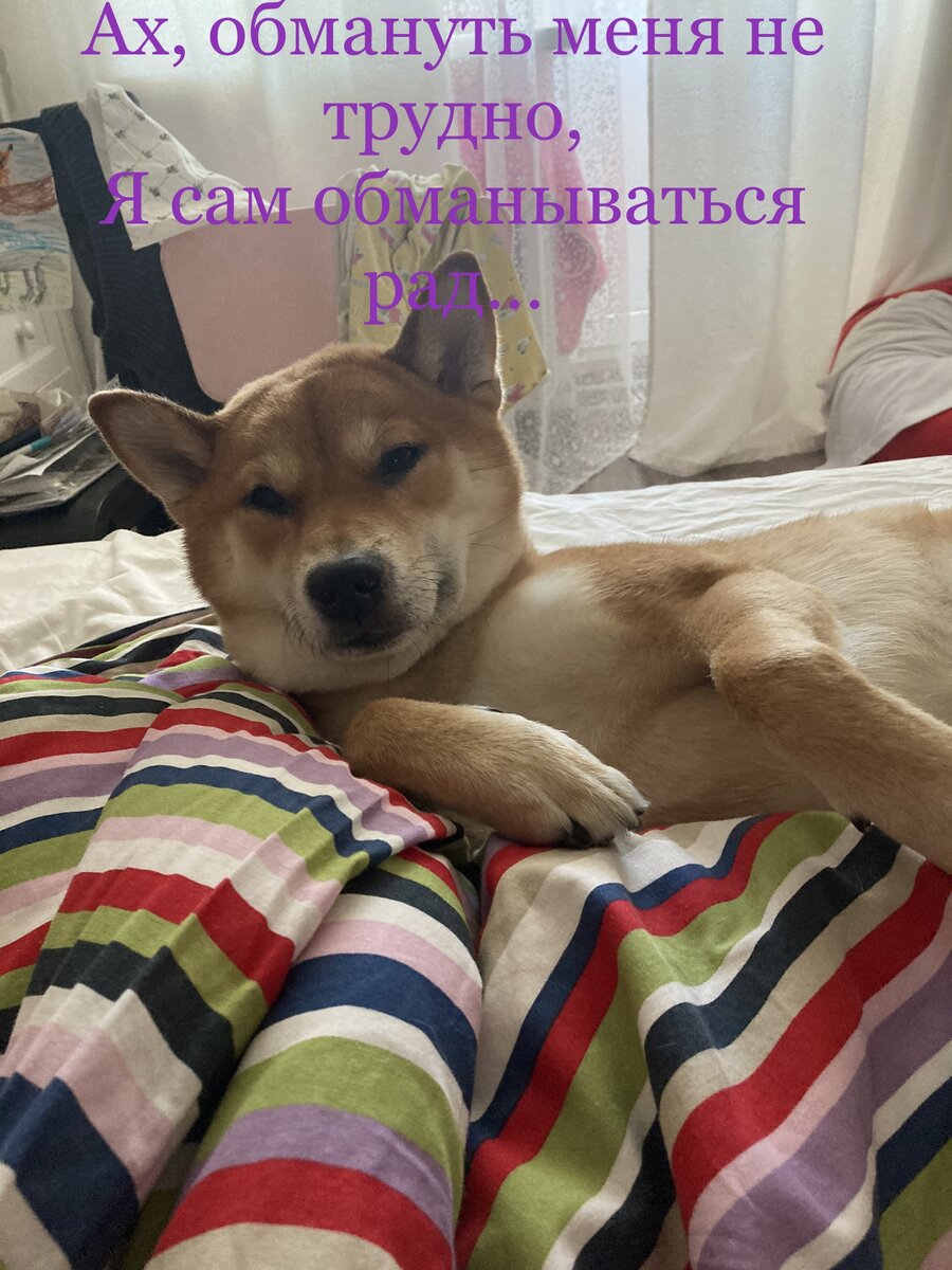 Тимо цитирует незабвенные слова классика!
