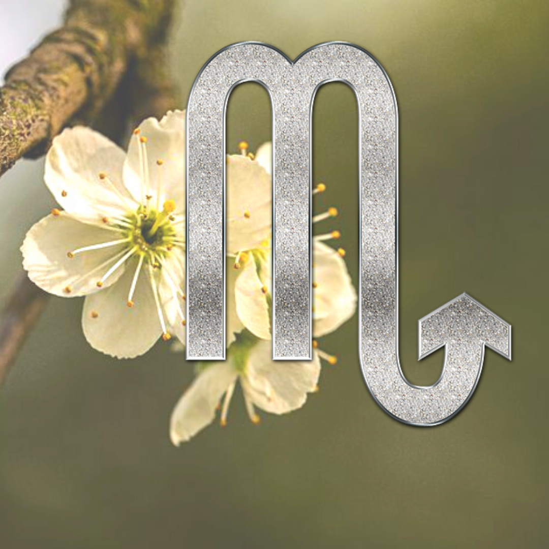 яндекс- картинки