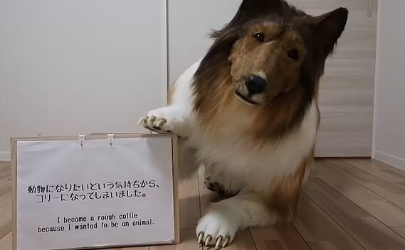 Мужчина потратил более 14 500 евро на костюм в виде собаки | ОБО ВСЁМ  ПО-НЕМНОГУ | Дзен