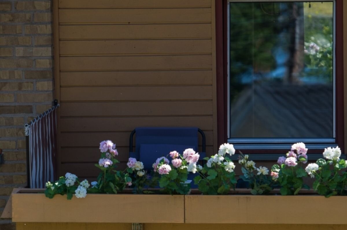    Эксперт предупредил о штрафе за цветы на балконе