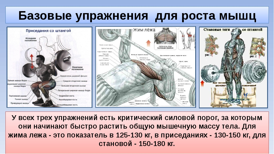 Лучше выбирать из них. Фото взято из открытых источников.