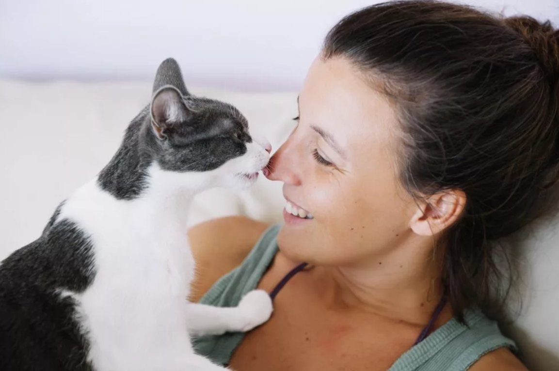 Кошка с хозяйкой