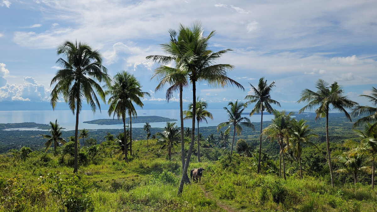 Катаемся на байках по горам и любуемся пейзажами рядом с Моалбоалом