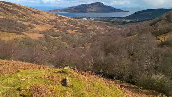    Археологи обнаружили в Шотландии уникальное сооружение эпохи неолита Ирина Петрова