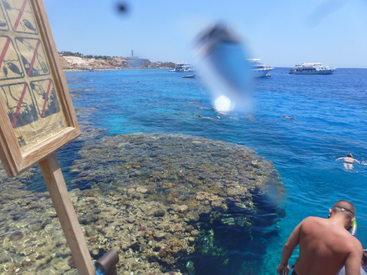 Это Шарм, Красное море и кораллы с рыбками - мы там не были уже 12 лет...((((